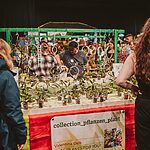 Collection_Plants_Plant