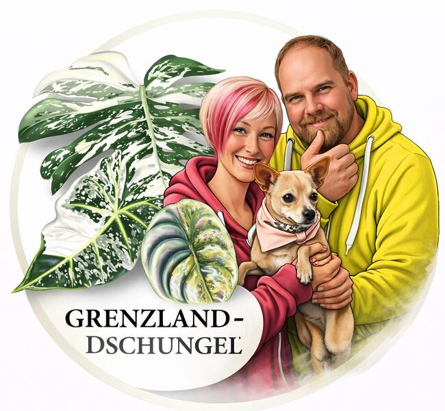 Grenzland Dschungel Grenzland Dschungel