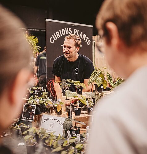 Curious Plants Curious Plants