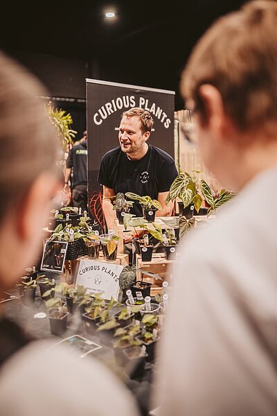 Curious Plants Curious Plants