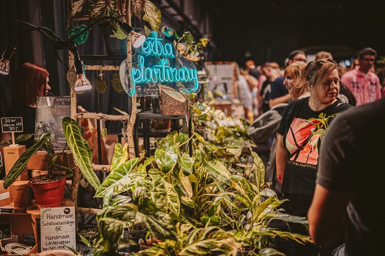 Extra Plantinary Extra Plantinary