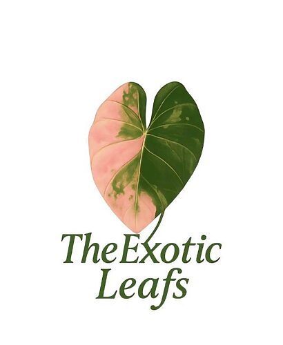 De exotische bladeren De exotische bladeren