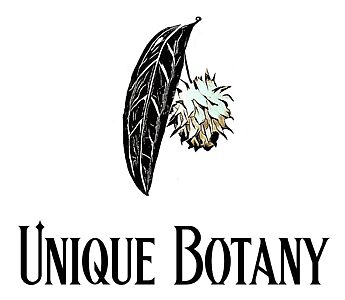 unique botany